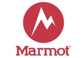 Marmot